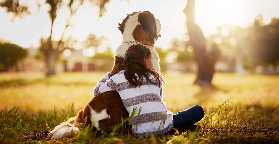 Dog and cat together representing wellness and prevention veterinary services in Danville, IN